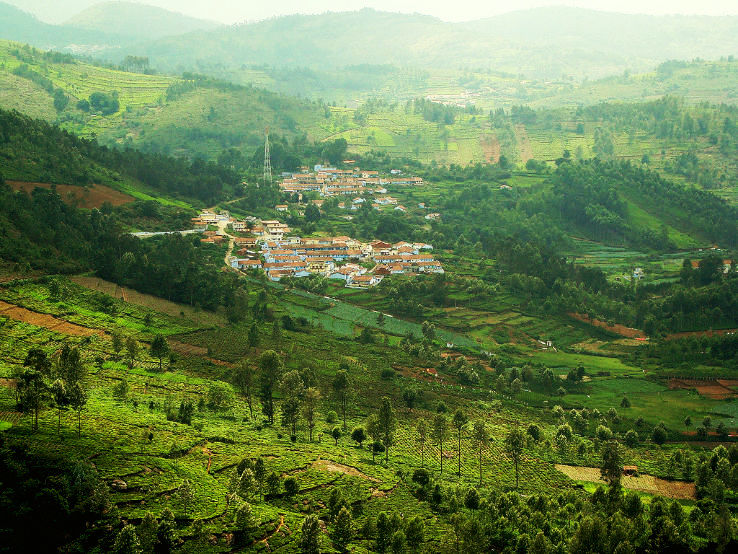 12. Kotagiri 